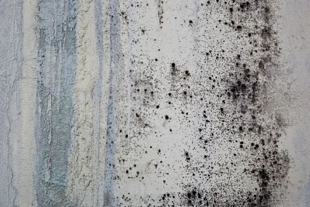 Fixing Water-Damaged Stucco