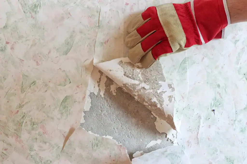 wallpaper removal in Torrance